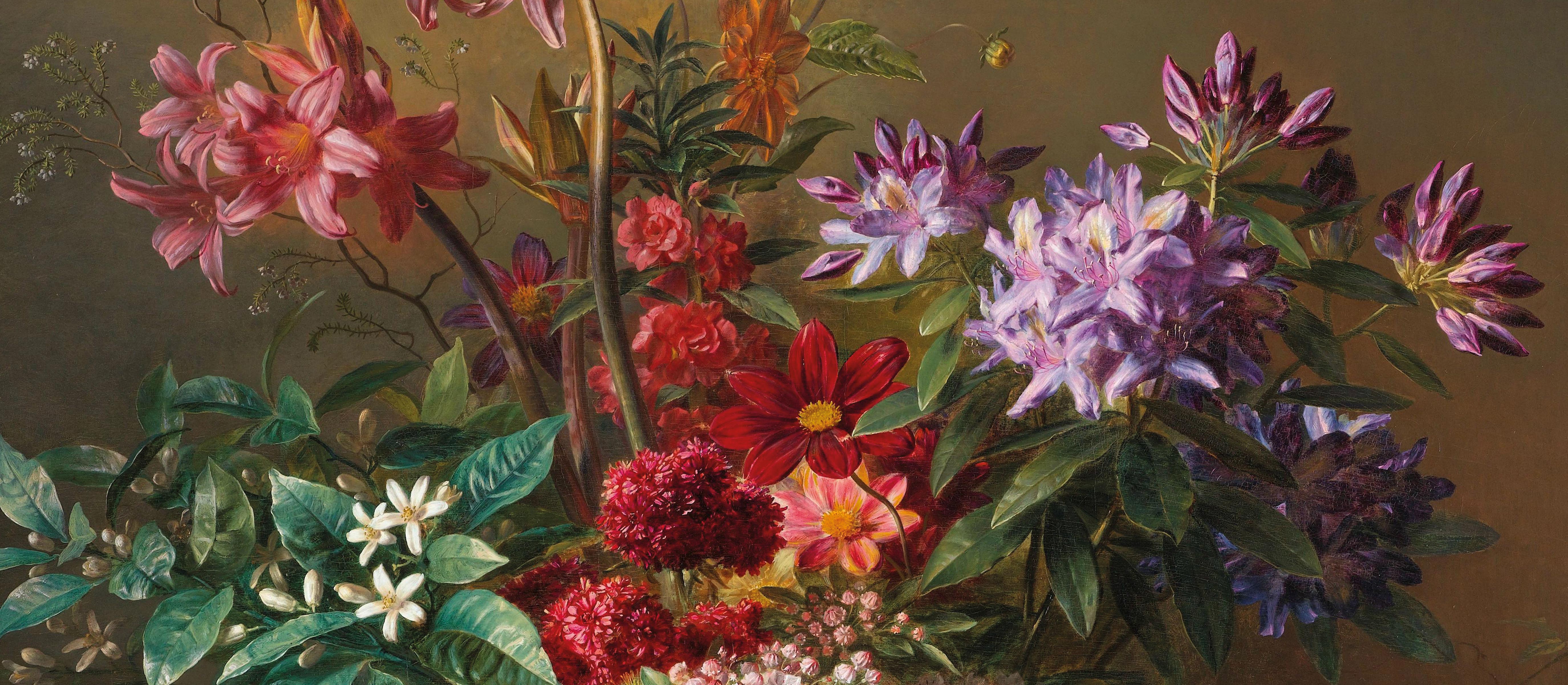 finaundliv-Banner-Blumen-Startseite-04_5500x2406px